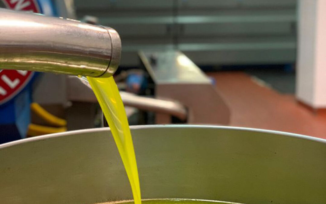 Ni la amenaza de una denuncia ante Competencia frena la caída constante de los precios en origen del aceite