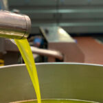 Ni la amenaza de una denuncia ante Competencia frena la caída constante de los precios en origen del aceite