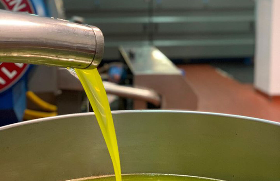 Ni la amenaza de una denuncia ante Competencia frena la caída constante de los precios en origen del aceite