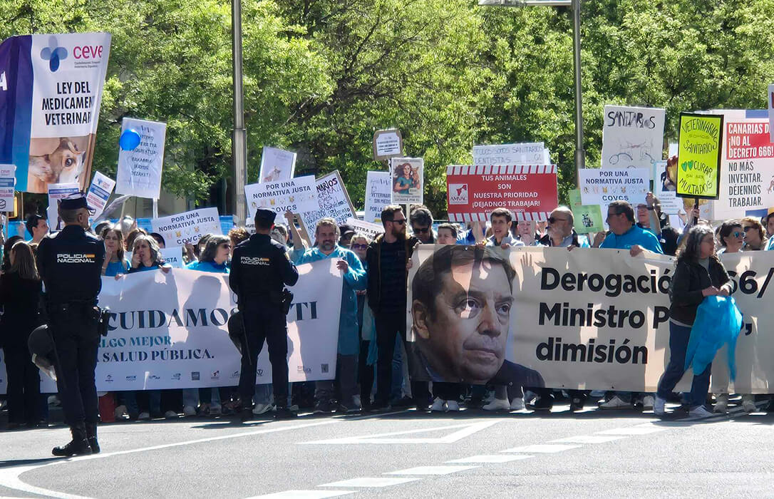 Los veterinarios toman Madrid y piden derogar la ley de medicamentos porque «pone en riesgo la salud animal» a la vez que piden la dimisión de Planas