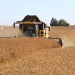 Acabar con la especulación en el cereal: exigen a las casas comerciales de piensos que repercutan la bajada del precio en sus productos