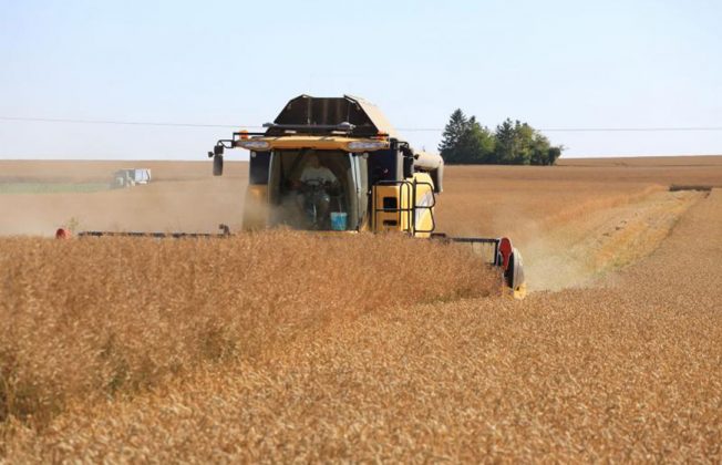 Acabar con la especulación en el cereal: exigen a las casas comerciales de piensos que repercutan la bajada del precio en sus productos