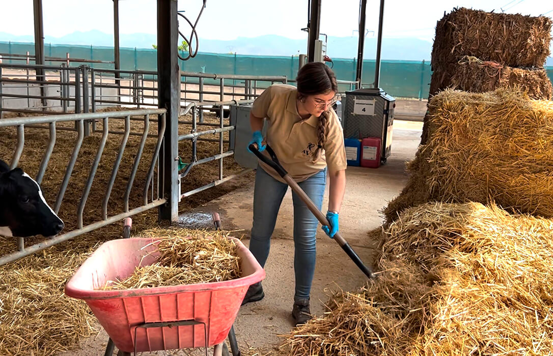 Arranca la campaña para asesorar sobre las nuevas ayudas a jóvenes de 18 a 40 años y a nuevos agricultores de hasta 56 años