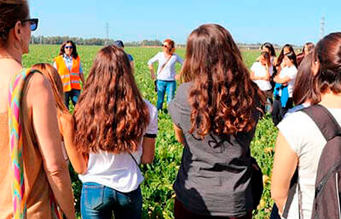 El Ministerio de Agricultura convoca ayudas para asociaciones de mujeres en el ámbito rural por 500.000 euros para promover su incorporación