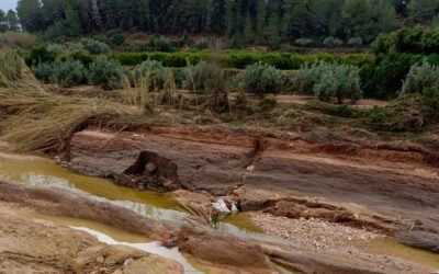 El Ministerio de Agricultura realiza un nuevo pago de 5,1 millones a 623 agricultores y ganaderos por daños en las explotaciones por la DANA