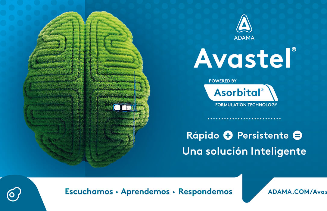 ADAMA presenta Avastel®: el nuevo fungicida rápido y persistente para el control de las enfermedades del cereal.