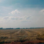 High temperatures have brought forward the grain harvest season in Segovia, which has begun with concerns about prices.