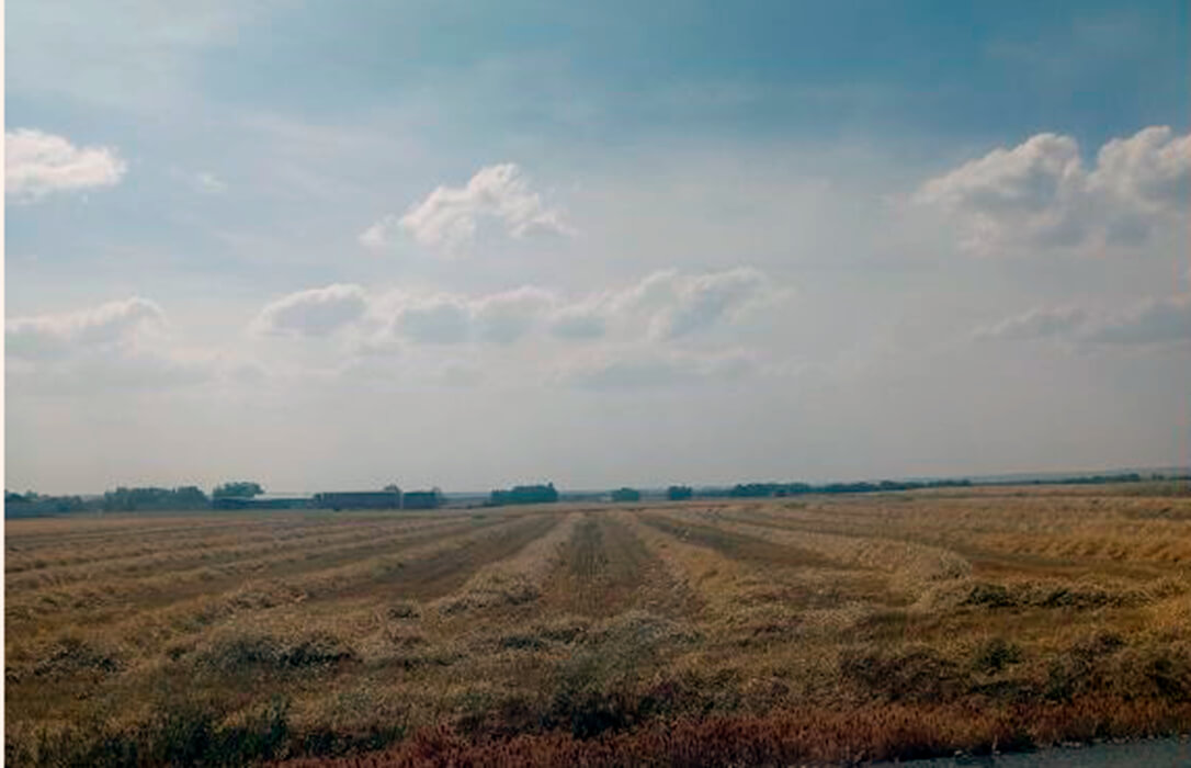 Las altas temperaturas adelanta la campaña de siega de cereal en Segovia, que arranca con la preocupación por los precios