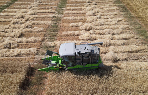 Estiman claros y sombras en la cosecha de cereal de invierno en Aragón, con una producción elevada pero precios en mínimos
