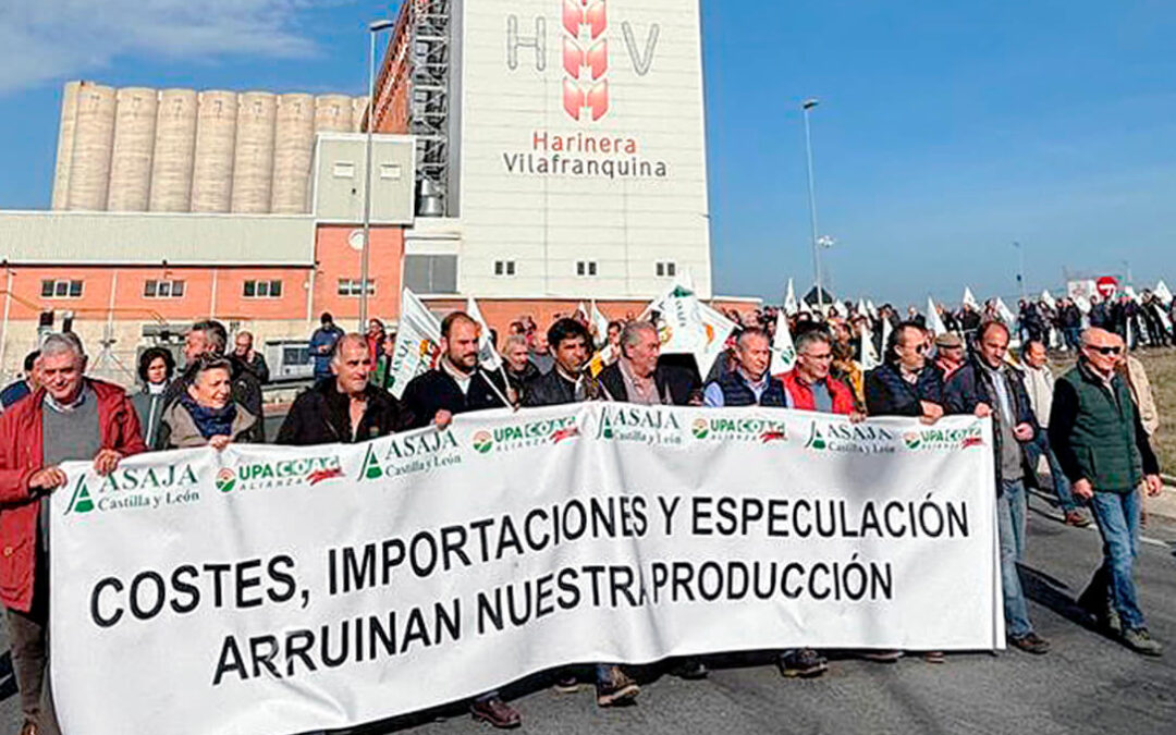 Cuando una buena cosecha tampoco es suficiente