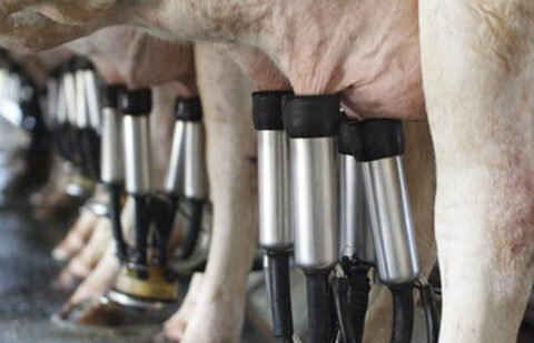 Coletazos del cártel de la leche: Desestiman un recurso de Central Lechera contra Unions Agrarias por vulneración del derecho al honor