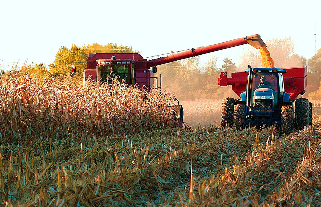 Cooperativas sitúa su estimación de cosecha de cereales para la campaña 2025 en 25,2 millones de toneladas, la segunda mejor de este lustro
