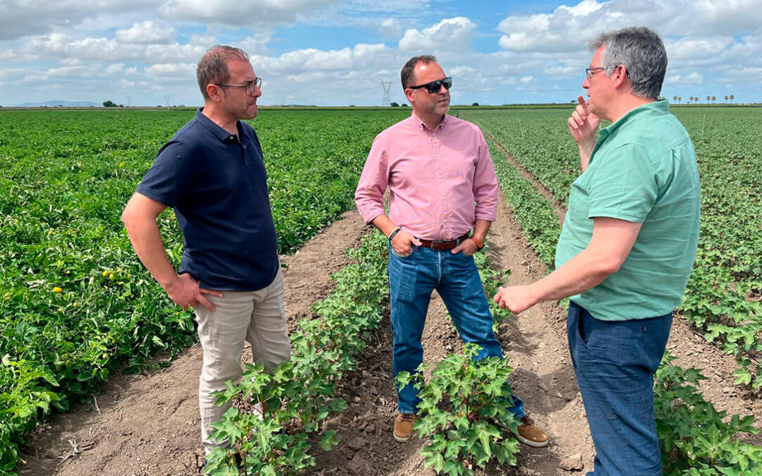 El GO AgroFert impulsa un bioestimulante innovador para reducir el uso de fertilizantes químicos y mejorar la sostenibilidad agrícola