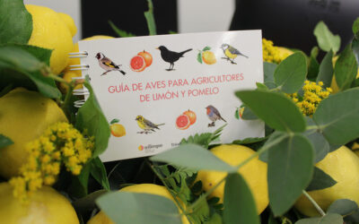 Estrenan una guía sobre las aves que habitan en las fincas de limón y pomelo como un servicio ecosistémico con beneficios para el agricultor