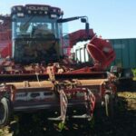 UGT denuncia que el objetivo final de Azucarera es importar la remolacha, lo que supondrá el fin de su cultivo en la región