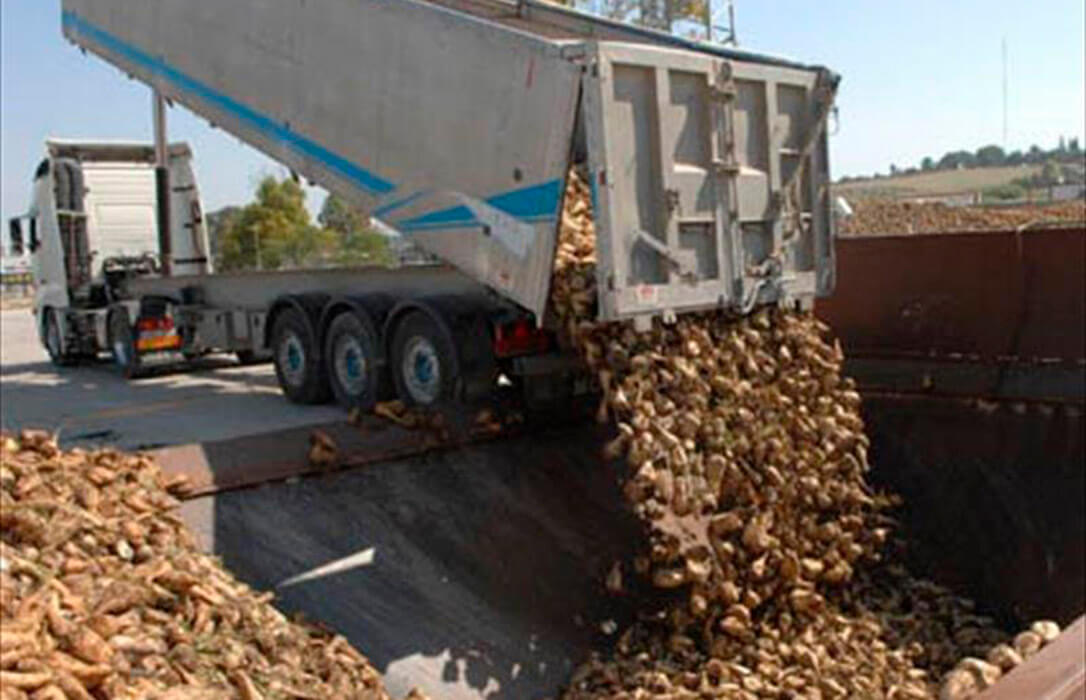 Confianza o ingenuidad: La Junta de CyL cree que Azucarera no cargará sobre los remolacheros el coste de centrar toda la producción en Toro