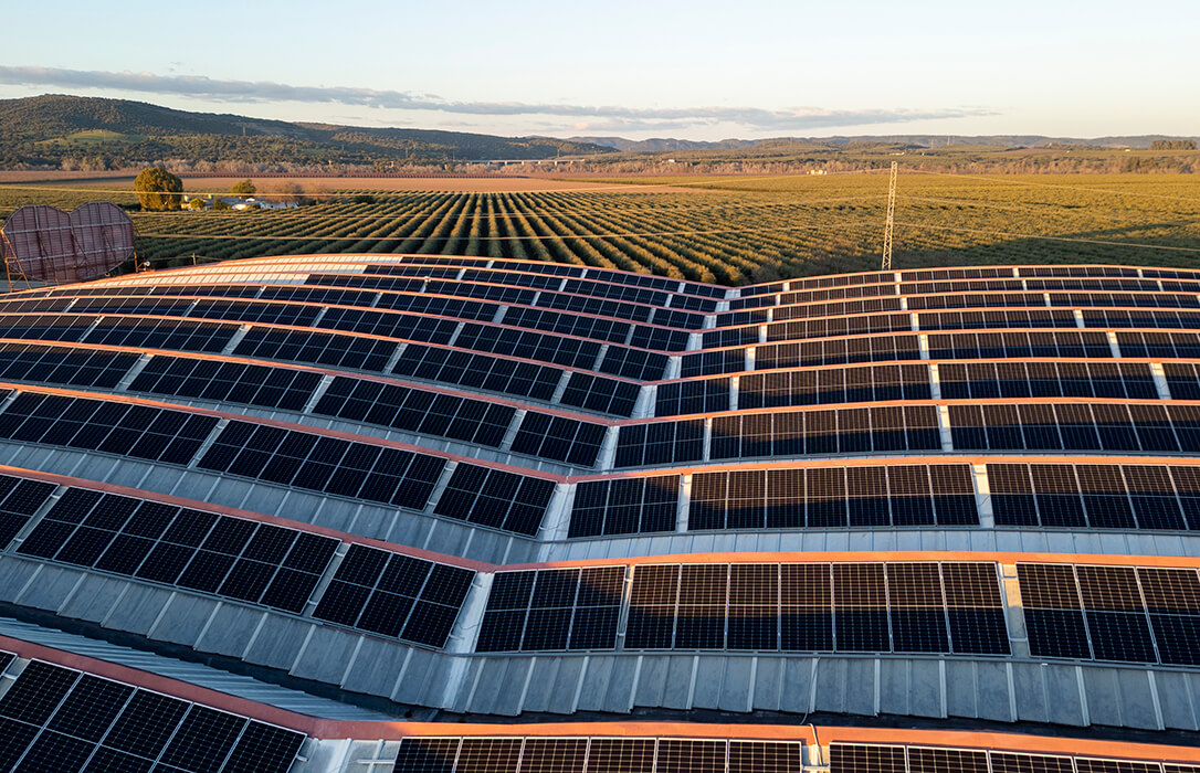 Deoleo, primera empresa oleícola en España con objetivos climáticos validados por la iniciativa SBTi