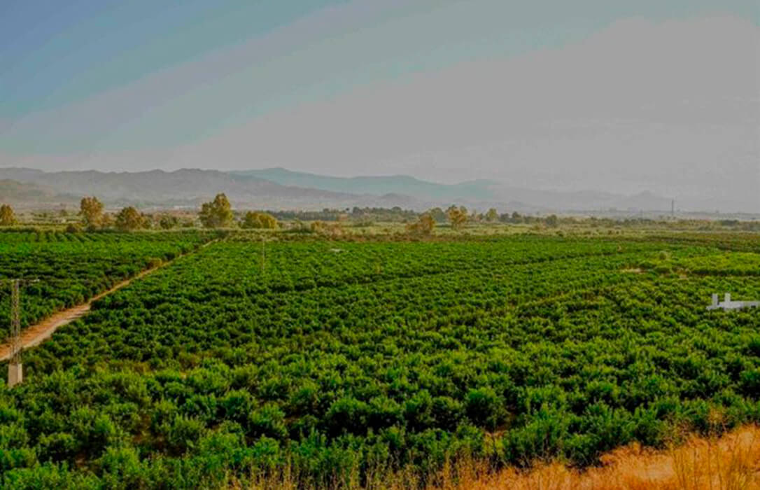 Varapalo judicial a la Junta de Andalucía: una sentencia le obliga tener que paralizar la obra de la EDAR Norte de Málaga