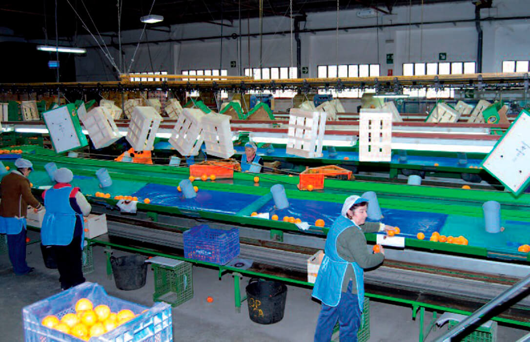 Nueva apuesta por la integración cooperativa: Univall Coop. V. crece con la integración de la cooperativa agrícola de la Llosa de Ranes