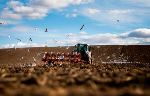 Los agricultores y ganaderos reciben 4.215 millones en ayudas directas de la PAC 2024 entre octubre y abril que representan el 73,26% del total
