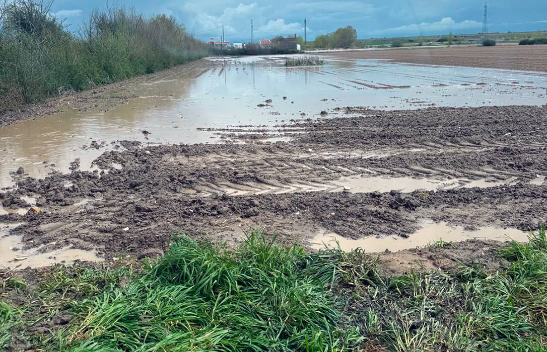 Reclaman medidas urgentes en la PAC 2025 para las explotaciones de regadío afectadas por las intensas lluvias de esta primavera