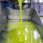 Aunque preocupan más las altas temperaturas, los precios del aceite en origen ha subido ligeramente la última semana