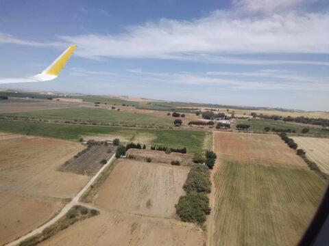 Se pondrán en marcha grupos de trabajo para abordar mejoras en la nueva PAC con representantes del sector agrario y del diálogo social