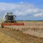 La crisis del cereal se visualiza en todas las CCAA: la campaña no ha empezado y ya prevén pérdidas estimadas de 92,5 millones en Extremadura