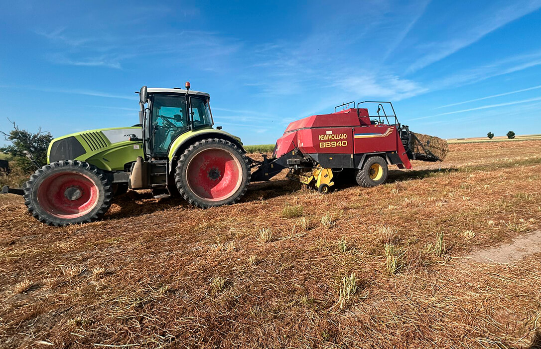 Lo difícil es cultivar algo rentable: denuncian unos precios de vezas y forrajes en las lonjas de CyL por debajo de los costes de producción