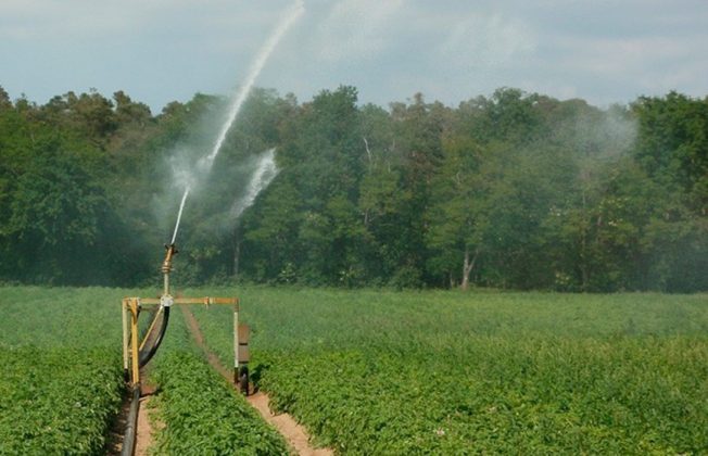 Andalucía trabaja para multiplicar por diez la producción de aguas regeneradas entre 2019 y 2027, pasando de los 17hm3 a los 180 hm3