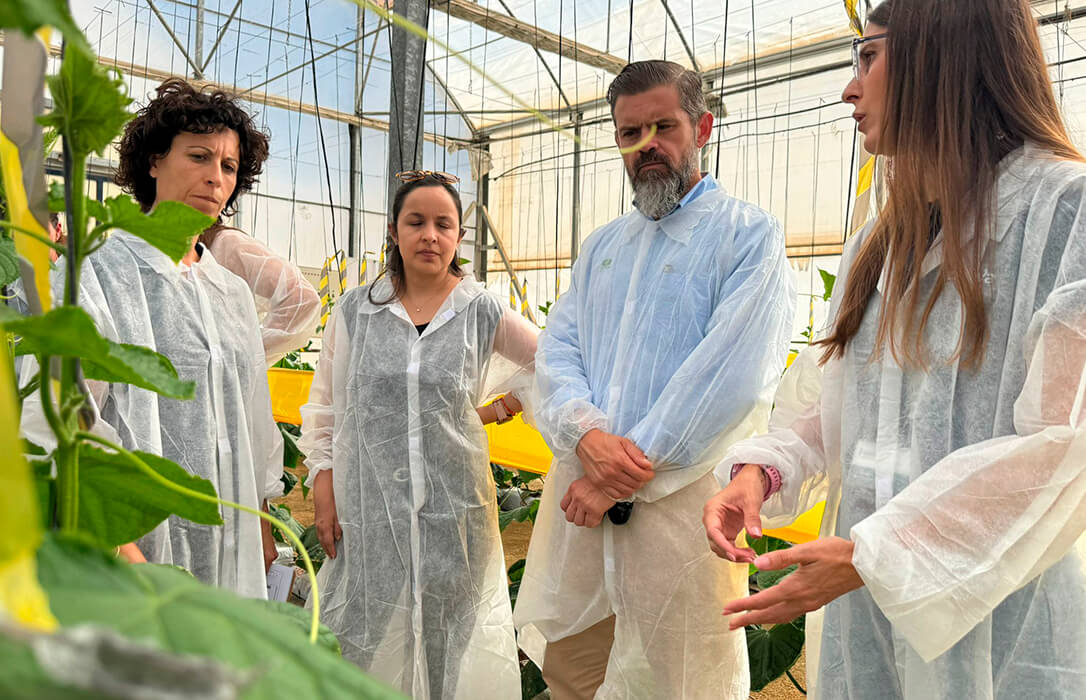 El proyecto Macroalgae demuestra el potencial de las macroalgas andaluzas como fuente de bioinsumos agrícolas sostenibles