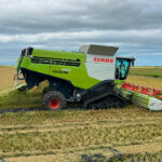 The European Parliament is urged to back a self-applying clause to protect European rice.