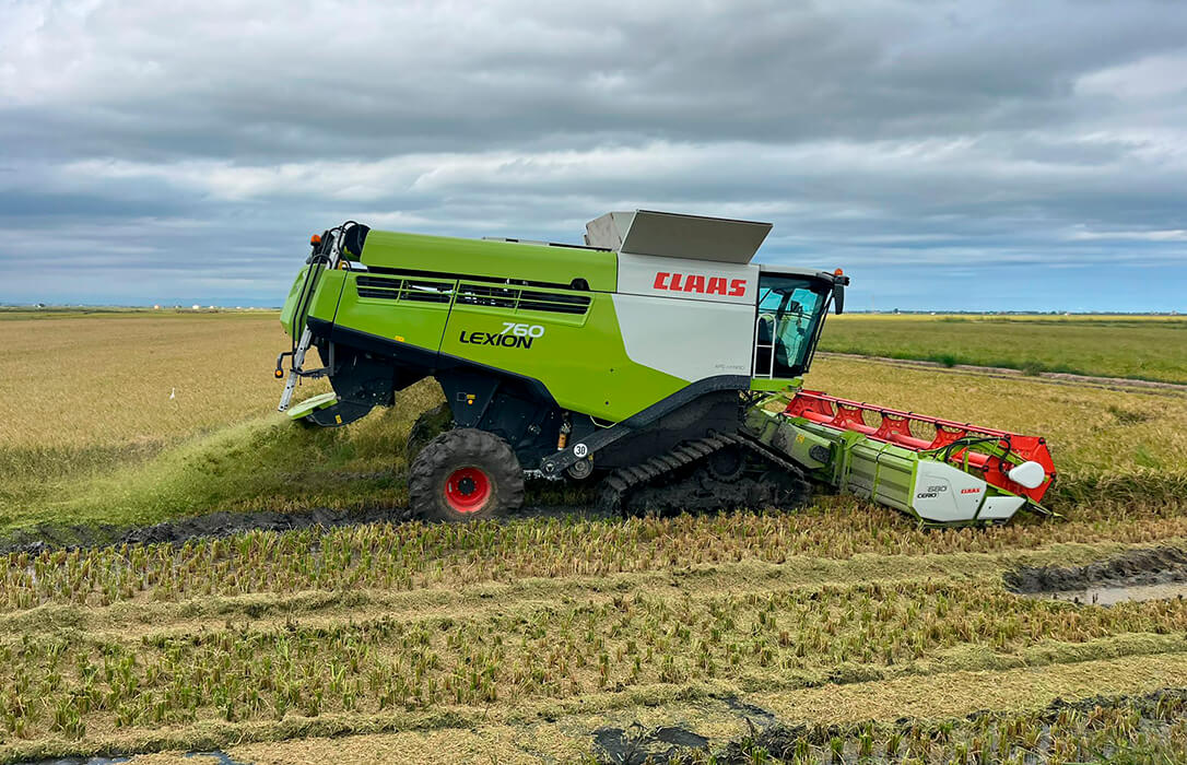 Instan al Parlamento Europeo a que respalde un claúsula que se aplique automáticamente para proteger el arroz europeo
