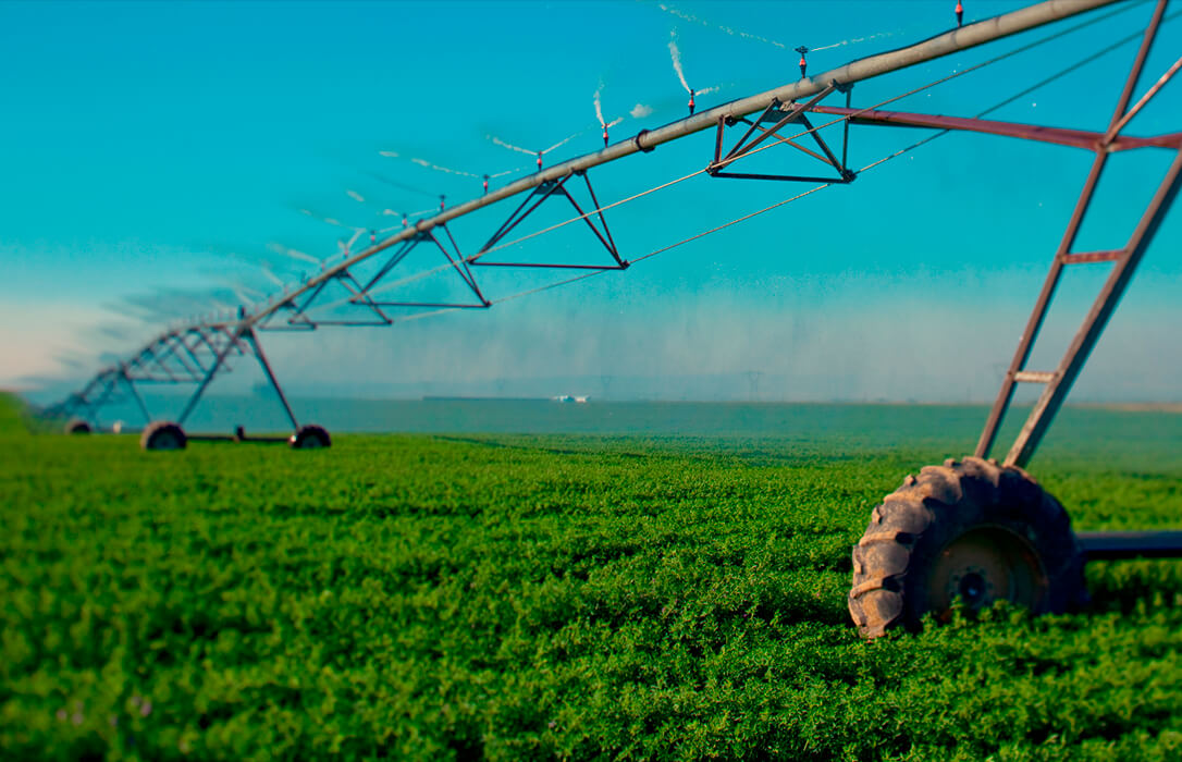 El agua, una prioridad estratégica para el Estado: con solo el 14 % del suelo cultivado, el regadío aporta más de la mitad de la producción agraria