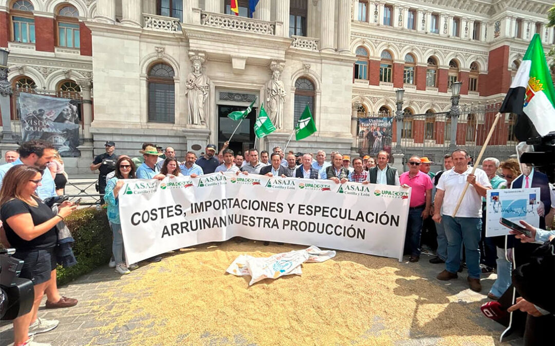 El campo planta cara al Gobierno y le exige salvar a un cereal español con costes disparados, precios hundidos y competencia desleal
