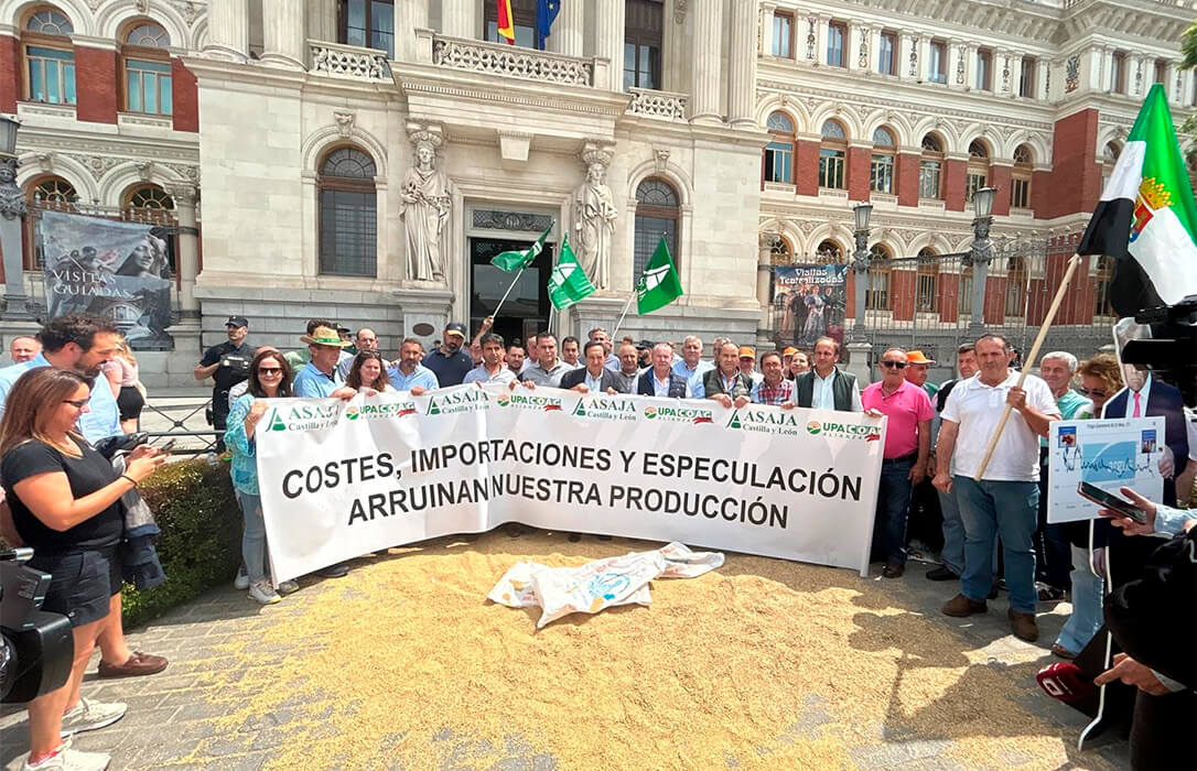 El campo planta cara al Gobierno y le exige salvar a un cereal español con costes disparados, precios hundidos y competencia desleal