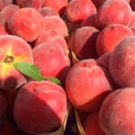 Reclaman a Enesa mejoras urgentes en el seguro de fruta dulce y que no se siga limitando la producción asegurada