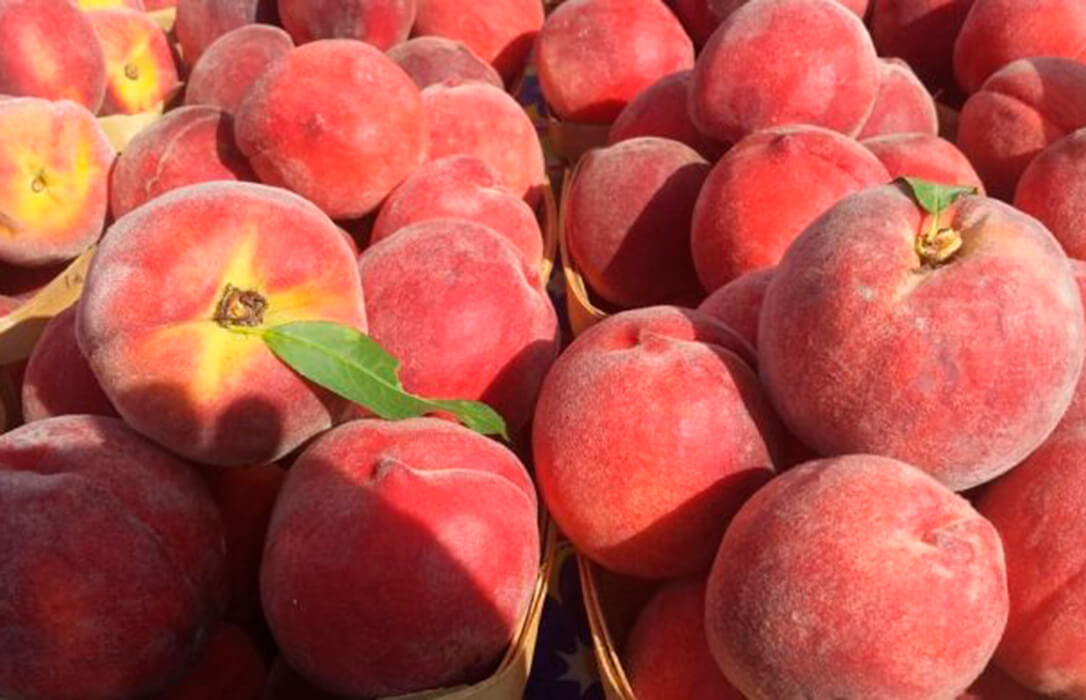 Reclaman a Enesa mejoras urgentes en el seguro de fruta dulce y que no se siga limitando la producción asegurada