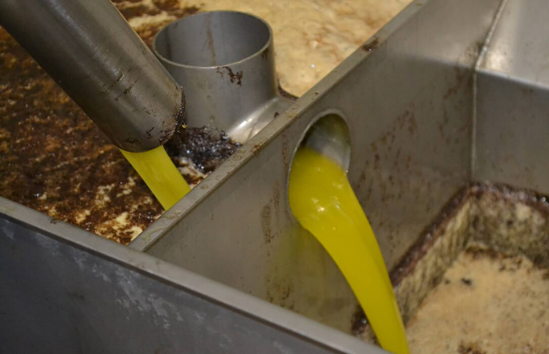 Los precios en origen del aceite continúan una semana más sin levantar cabeza y nada parece que vaya a cambiar en el final de campaña