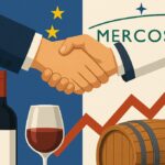 La FEV y el conjunto de bodegas europeas piden a la Ce que adopte cuanto antes el acuerdo con Mercosur para avanzar hacia su ratificación