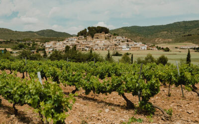 Eslava, un municipio navarro de menos de 110 habitantes, lidera un modelo de vino regenerativo en una iniciativa única en España y Europa