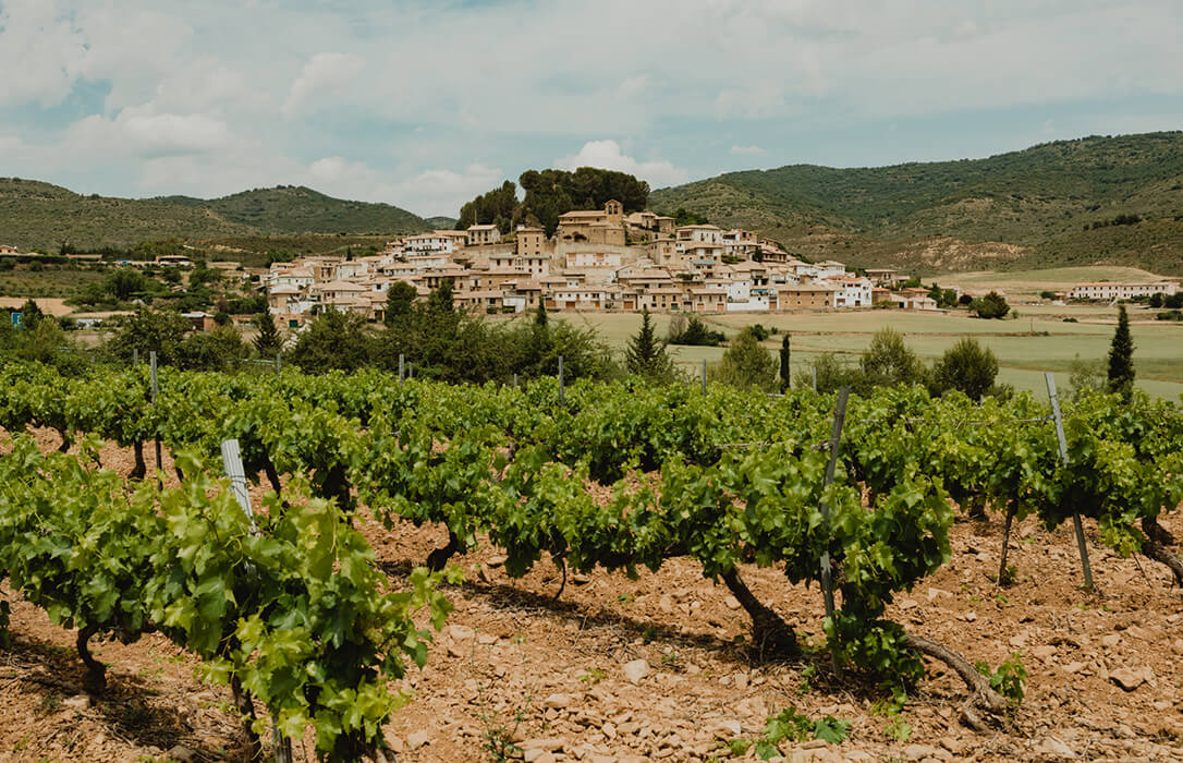 Eslava, un municipio navarro de menos de 110 habitantes, lidera un modelo de vino regenerativo en una iniciativa única en España y Europa