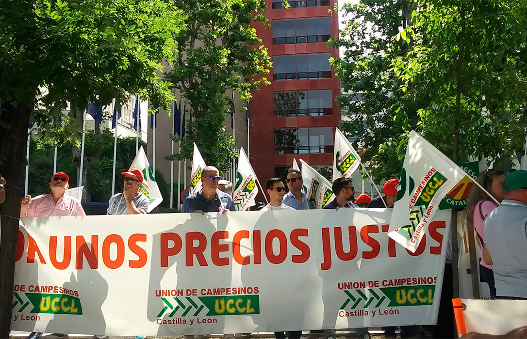 La crisis del cereal ante las puertas de la CE: piden un seguimiento de las importaciones tras el fin del régimen temporal con Ucrania