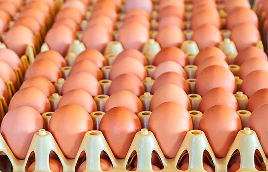 Los precios del aceite acentúan su caída al descender un 37,1% en junio mientras que los huevos suben un 18%