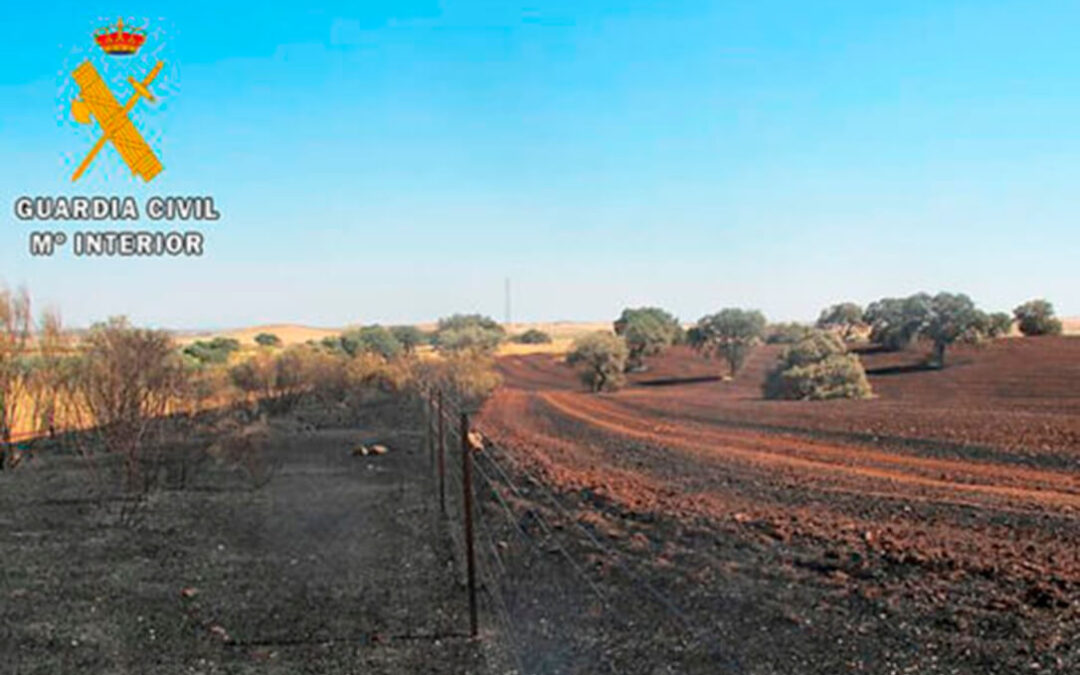 La Junta declara alerta de riesgo de incendios forestales por causas meteorológicas los días 16 y 17 de julio en toda Castilla y León