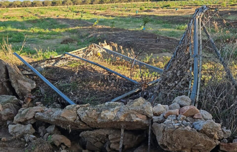 El Ministerio de Agricultura eleva a 76,8 millones de euros las ayudas a los agricultores y ganaderos afectados por la DANA