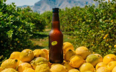 Llega Clarica, la cerveza rubia de la cooperativa murciana Limonar de Santomera hecha con limones que nadie quiere