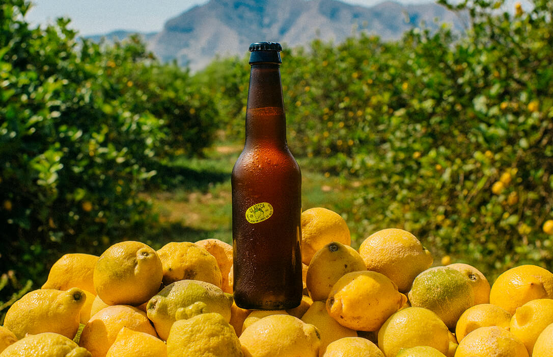 Llega Clarica, la cerveza rubia de la cooperativa murciana Limonar de Santomera hecha con limones que nadie quiere