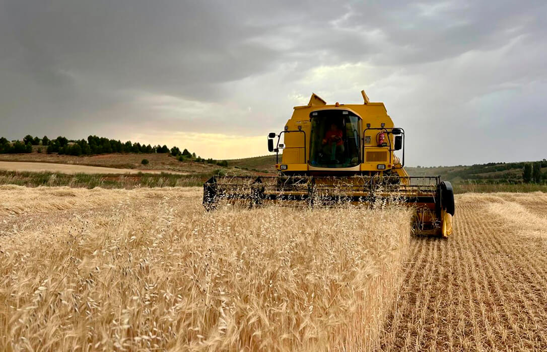 Urgen al Gobierno de Castilla-La Mancha a publicar la norma que flexibiliza las condiciones para cosechar con riesgo extremo de incendios