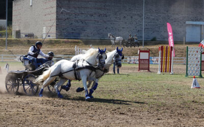 Equina Galicia 2025 ‘engancha’: ofrecerá una trepidante competición con subcampeones de España y Portugal en el Campeonato Gallego de Enganches